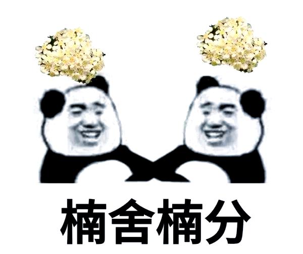 难以名状(难以名状的近义词)